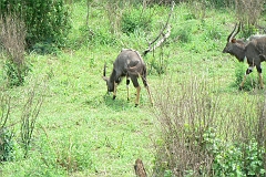 0384-Reis Zuid-Afrika2007